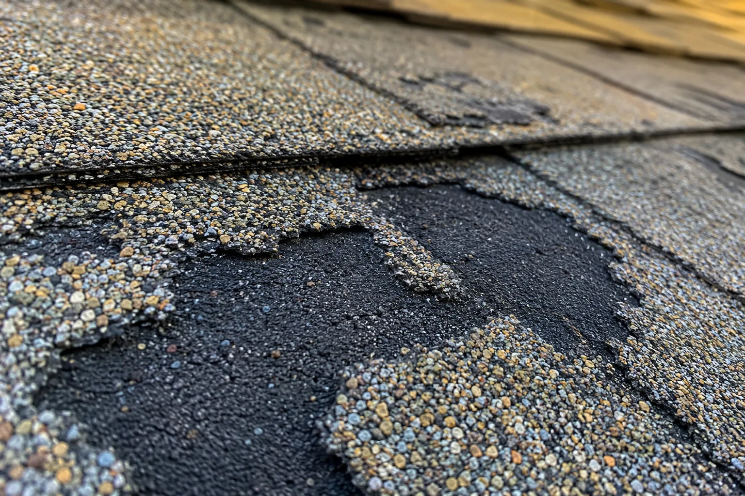 Deteriorating asphalt shingle granule loss on a Minnesota roof